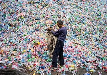 Los Angeles plastic restrictions take effect, restaurants must provide food containers, tableware, etc. compostable or recyclable